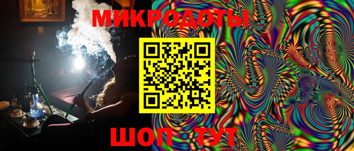 Галлюциногенные грибы Psilocybe Амурск